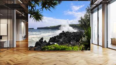 a stop on a tour of the road to hana maui hawaii with waves crashing over volcanic rock Wall mural