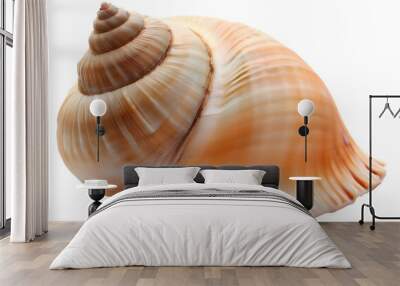 Isolated bright spiral seashell conch for use as decoration element Wall mural