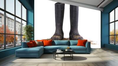 muddy rubber boots front view isolated on white background Wall mural