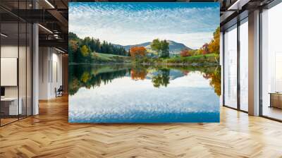 Acadia Reflection Wall mural