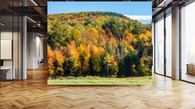 Vermont foliage Wall mural