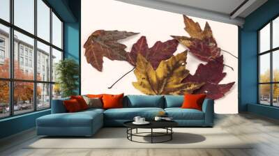 Fall leafs on white background Wall mural