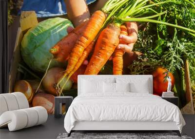 homemade vegetables in the garden. Selective focus. Wall mural