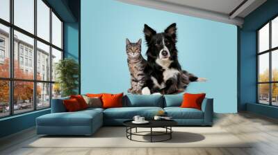 tabby cat and border collie dog Wall mural