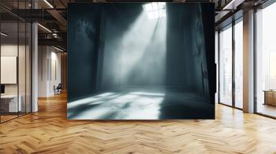 large smokey light grey room, particles, single light from top center off camera, light beams, dark shadows, dramatic Wall mural