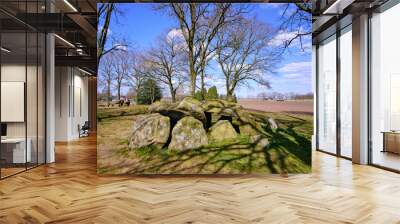 Megalithic dolmen graves in dutch landscape with fields and farms in background-In dutch it's called Hunebed,D28. Borger, Drenthe, The Netherlands. Wall mural