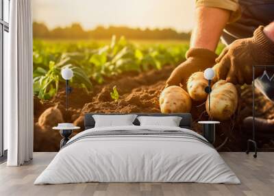 Potato harvest in the hands of a farmer. Generative AI, Wall mural