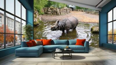 Indian rhinoceros (Rhinoceros unicornis) in the zoo, in the water Wall mural