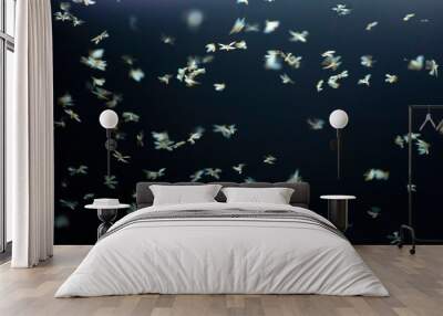 Abstract and magical image of flying moths. Wall mural