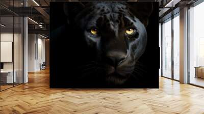 Close-up on a black panther eyes on black Wall mural