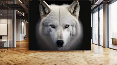 Close up on a white wolf eyes on black Wall mural