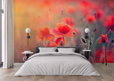 Poppy field Wall mural