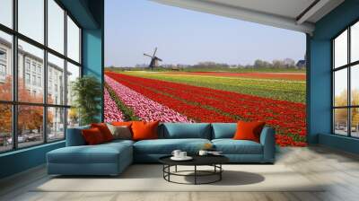 tulips and windmill 2 Wall mural