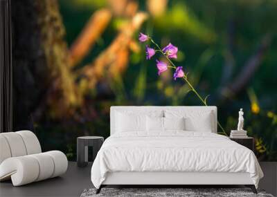 Bunch of beautiful wild bell-flowers in a green blossoming field on a summer sunset Wall mural