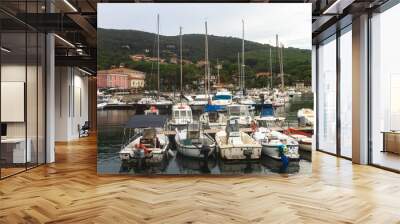 cities and coasts of elba island Wall mural