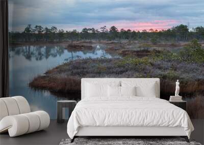 Swamp lake with islands in misty morning Wall mural