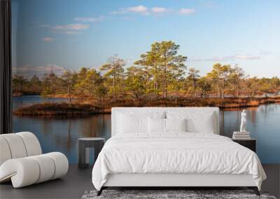 Swamp lake with islands in sunny day and sunrise Wall mural