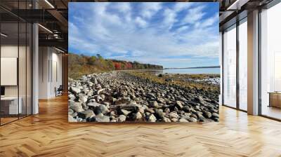 beach and rocks Wall mural