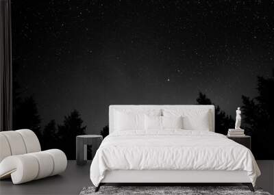 monochrome of starry sky and silhouette of trees at night Wall mural