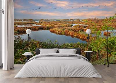 Po Delta Park, Veneto, Italy: landscape of the swamp with a flock of pink flamingos Wall mural