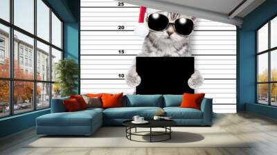 Bad cat wearing santa hat and sunglasses is caught committing a crime Wall mural