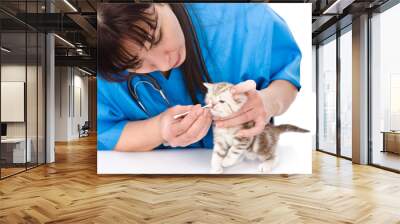 cleaning nose kitten in a veterinary clinic. isolated on white  Wall mural