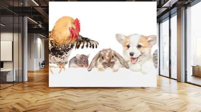 Different pets looks together over empty white banner. isolated on white background Wall mural