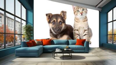 dog and kitten. looking at camera. isolated on white background Wall mural