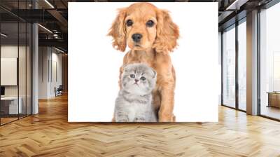 Froendly English cocker spaniel puppy dog sits with tiny kitten. Isolated on white background Wall mural