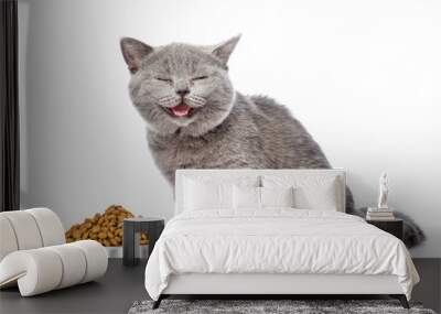 Happy cat sits with bowl of dry food for pets. isolated on white background Wall mural