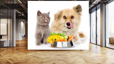 Little kitten and licking lips hungry puppy with a bowl of vegetables. isolated on white background Wall mural