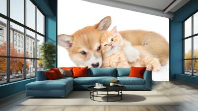 Pembroke welsh corgi puppy hugs cute tiny kitten. isolated on white background Wall mural