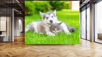 Playful alaskan malamute puppy embracing adult maine coon cat on green summer grass Wall mural