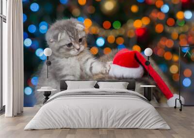 playful kitten and sleepy puppy on a background of the Christmas tree Wall mural