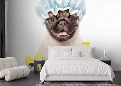 Pug puppy with shower cap holding rubber duck and towel. isolated on white background Wall mural