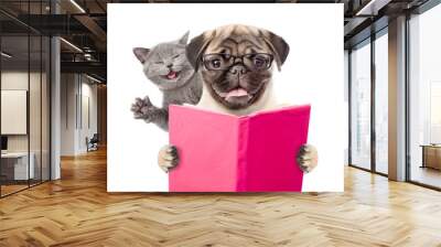 Smart dog and funny cat reading a book. isolated on white background Wall mural