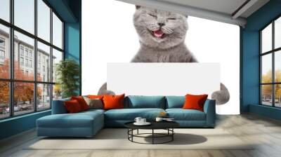 Smiling cat holding a white banner. isolated on white background Wall mural