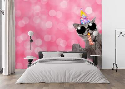 Smiling cat wearing sunglasses and party cap looks from behind empty white banner and shows disco ball and  blows into party horn. Festive background. Empty space for text Wall mural