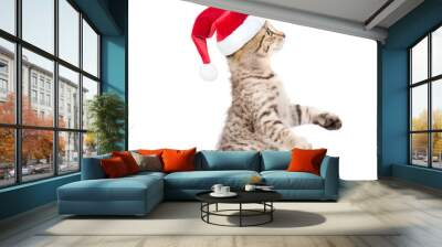 Tabby cat in red christmas hat standing on hind legs. isolated on white background Wall mural