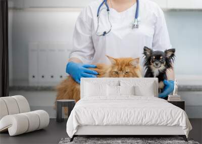 Veterinarian hugs cat and dog at veterinary clinic. Empty space for text Wall mural