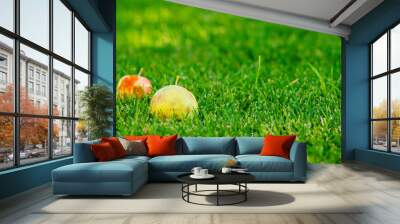 Apples lying on the green grass in summer. Harvest concept. Wall mural