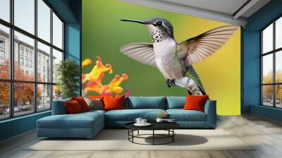 Hummingbird in Flight Wall mural