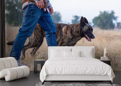 A young man is walking beside his dutch shepherd dog at meadow in the countryside Wall mural