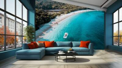 Aerial drone view of beutiful beach in corfu island, Greece Wall mural