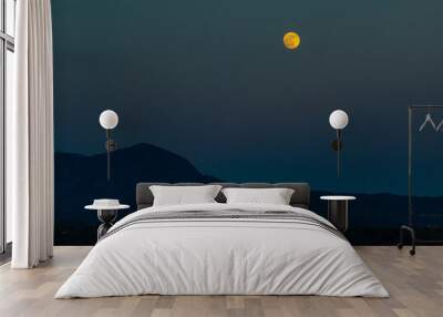 Beautiful Full moon over forest field in corfu island, Greece, in summer Wall mural