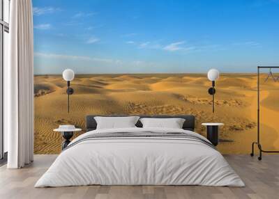 Desert in the Kalmykia Republic, Russia Wall mural