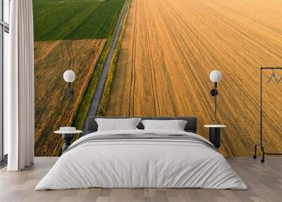 Areal view of crop fields in sunny summer day Wall mural