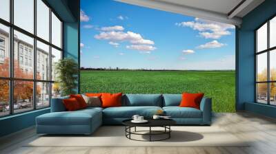 Beautiful landscape with an amazing blue cloudy sky and green grass Wall mural