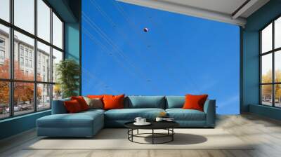 Single orange warning sphere on electric line against blue sky Wall mural