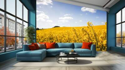 Canola field, Rape field Wall mural